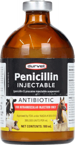 Antibiotic resistance - Injectable Penicillin bottle