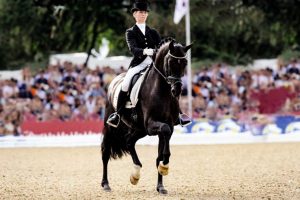 Oklahoma all breed stallion station - Sarkozy Dressage Under Saddle
