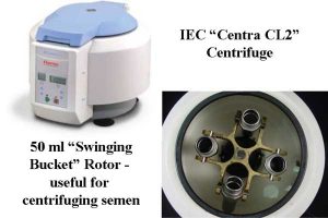 IEC Centra CL2 Centrifuge, showing swinging bucket interior
