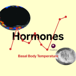 Ovulatory Temperature Changes