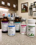 Pharmacologically Induced Ejaculation in Stallions - chemical collection - drug bottles on counter