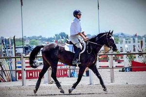 Placentitis foal as an adult in competition