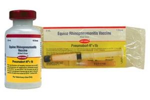 EHV Vaccine Pneumabort-K