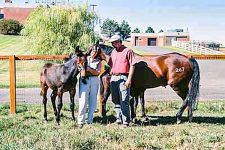 Researcher Dr. Vanderwall and Equine-Reproduction.com's Kathy St. Martin with two of the cloned mules and a recipient mare