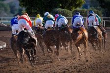 AI use in the TB industry - Racing horses
