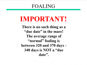 Words to lose - no due date!