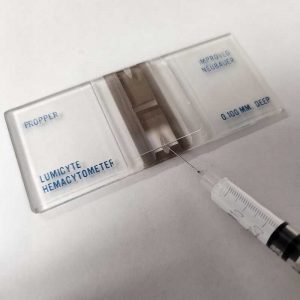 Loading the hemocytometer with a syringe