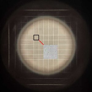 Counting Sperm With a Hemocytometer - which squares to count?