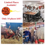 Equine Reproduction Short Courses - 2027 - images from prior courses