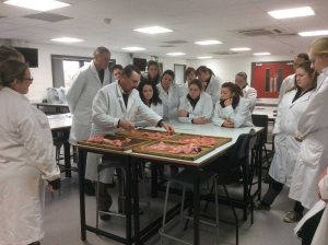 Scheduled Equine Reproduction Short Course - Tract Inspection at Hartpury (UK) course