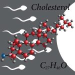 Cholesterol Improves Cold Shock Resistance