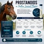 Prostanoids as Markers of Oxidative Stress in Stallion Semen