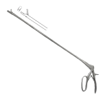 Endometrial Biopsy in the Mare