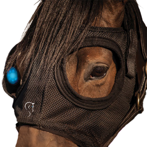 Does Blue Light Affect Foal Development? - The Equilume