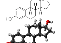Diagnosis of Placentitis - estradiol 17ß structure (Images by Jynto and NEUROtiker - Public Domain)