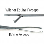 Can Embryo Transfer Success Rates be Improved?