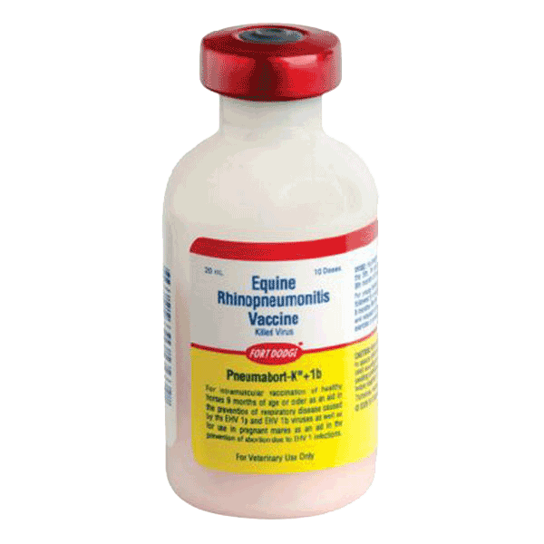 EHV-1 Vaccine