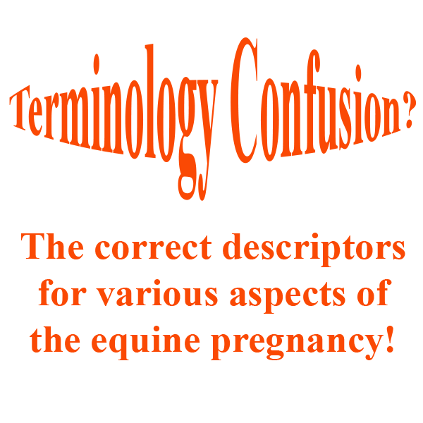 Pregnancy terminology logo