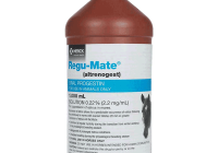 Does my mare need Regumate?