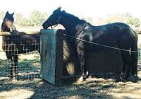 Non-receptive or -resistant mare