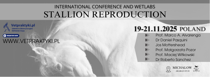 Stallion Conference Poland 2025