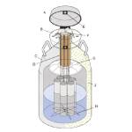 Frozen Equine Semen - An Overview